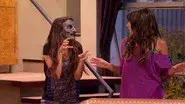 Tori the Zombie still