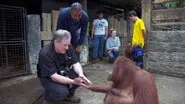 60 Minutes Presents: Whitaker’s Wildlife Tour still