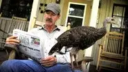 My Life as a Turkey still