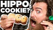 International Cookies Taste Test still