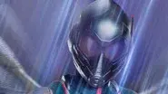 Wasp still