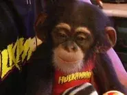 Monkey Business still