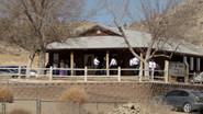 The Mennonite Murder still