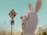 Rabbid Radar still