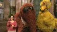 Big Bird and Snuffy Talent Show still