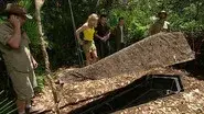 In Grave Danger still