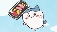Tray of Sushi / Sushi Chef still