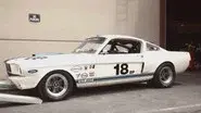 Firebird Fever still