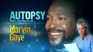 Marvin Gaye still