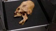 Ancient Aliens on Location: Evidence of Alien Life still