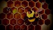 Baby Bear is Afraid of Bees still