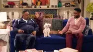 Welcome to the Purse Dog still