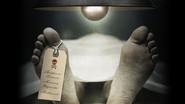 The Poisoner's Handbook still