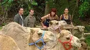 Hump It! still