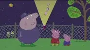 Night Animals still