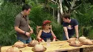 Final: Cockroach Attack / Spider Man / Bushtucker Bonanza still