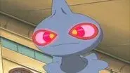 Take This House and Shuppet still