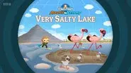 Very Salty Lake still