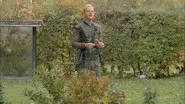 The Garden still