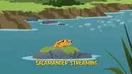 Salamander Streaming still