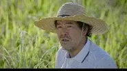 Where Is Your Father, Hwa Pyung? still