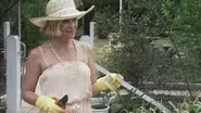 Fruit Of The Vine - Part 1 still