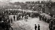 The Circus (1) still