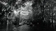 Into the Amazon still