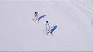 Ski Coach still