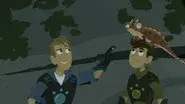 Mini Madagascar still