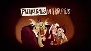 Pachydermus Interruptus still
