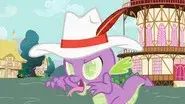 Secret of My Excess still