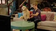 Doggie Daddy still
