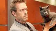 Here Kitty still