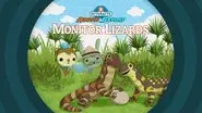 Monitor Lizards still