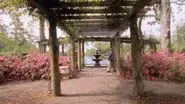 Joey Potter and the Capeside Redemption still