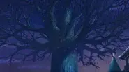 Spirit Locust Branch still