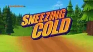 Sneezing Cold still