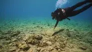 Secrets of the Sunken Empire still
