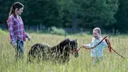 A Horse with No Rider still