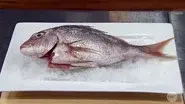 Elimination Challenge: Three Dishes from One Snapper still