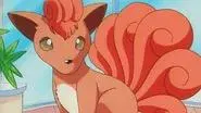 Pokémon Fashion Flash still