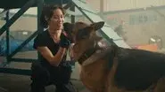 K9: The Rext Generation still