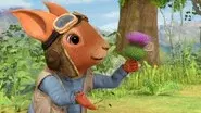 The Tale of Dr. Bobtail's Adventure still