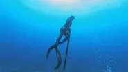 Spearfishing the Big Island still