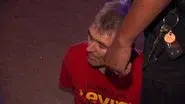 Papa Don't Stop still