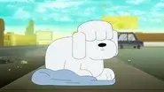 Dog still