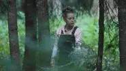 Survive the Night still