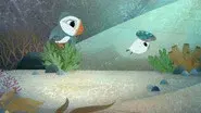 Swimming Lesson still