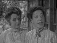 Mrs. Herman and Mrs. Fenimore still